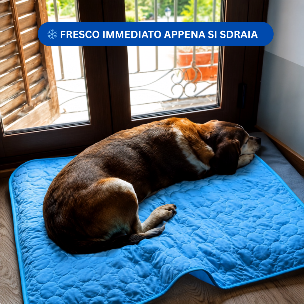 ZampeFresh™ - Tappetino rinfrescante per Cani
