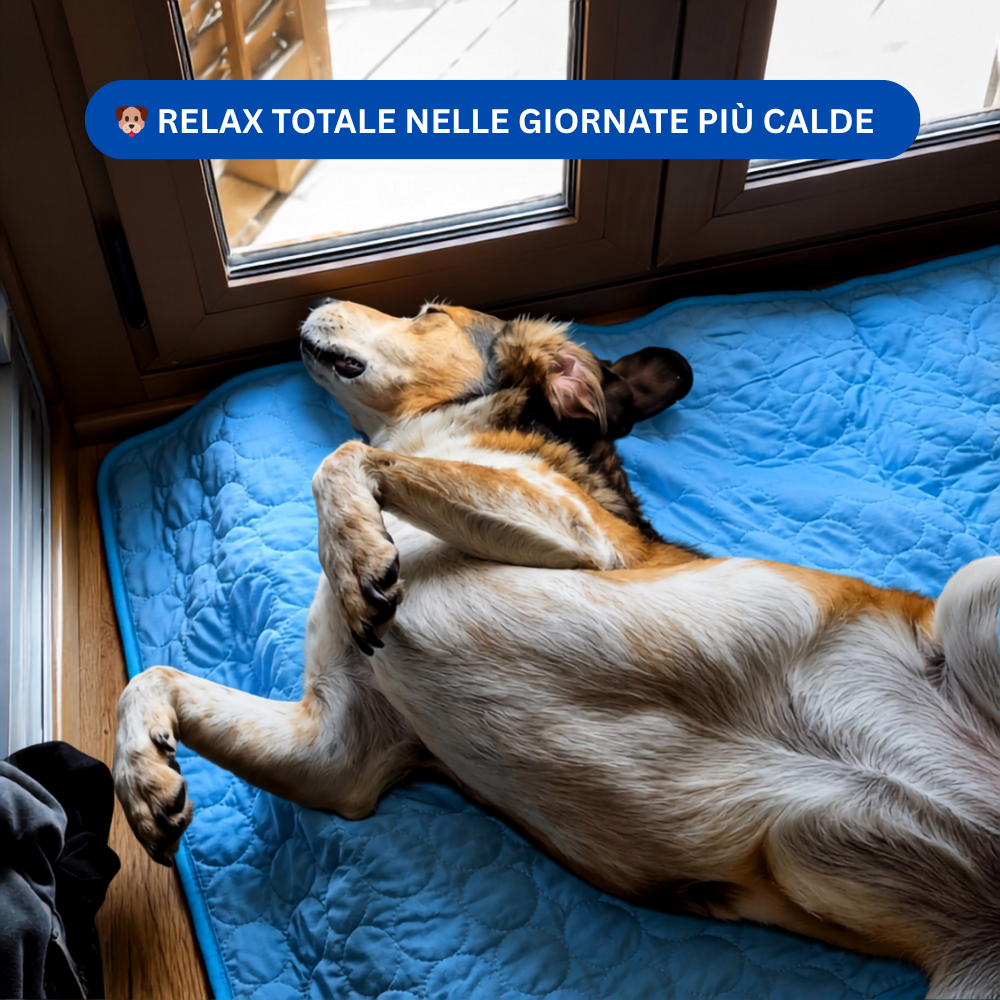 ZampeFresh™ - Tappetino rinfrescante per Cani