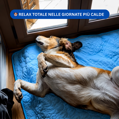 ZampeFresh™ - Tappetino rinfrescante per Cani